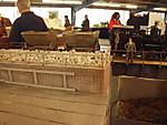 1116DSCI9257.JPG
