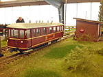 1116DSCI9264.JPG