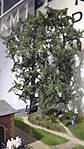 1116EDK2012_9.JPG