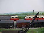 1116EFB2010_42.JPG