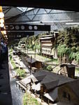 1116EFB2010_72.JPG