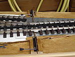 1116dmr1238.JPG