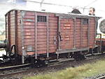 1116dmr14_25.JPG