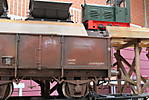 1116slf17_053.JPG