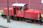 1116slf17_063.JPG