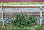 1116slf17_070.JPG