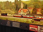 IMB202502.JPG