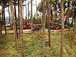 IMB202516.JPG