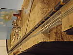 IMB202553.JPG