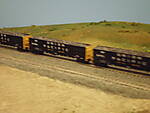 IMB202558.JPG