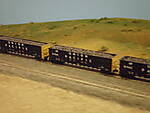 IMB202559.JPG