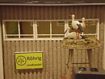 IMB202561.JPG