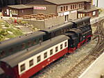 IMB24066.JPG