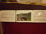 IMB24111.JPG
