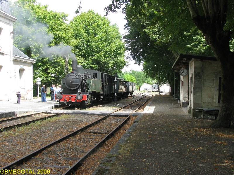 TTGM_15