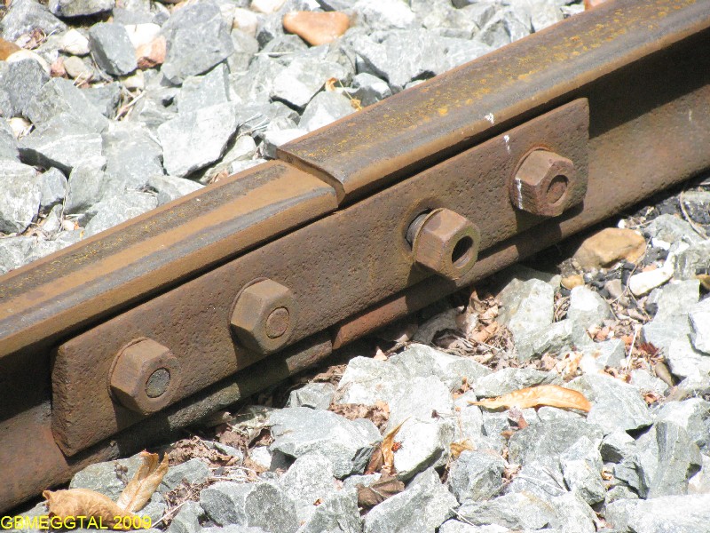 TTGM_55