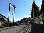 741IMG_1634small.jpg