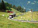 741IMG_1664small.jpg