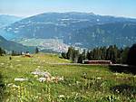 741IMG_1665small.jpg