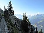 741IMG_1684small.jpg