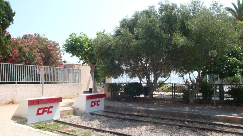 P1040749-1
