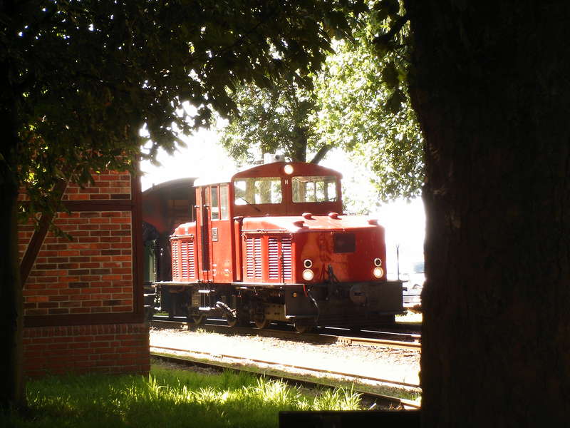 V29 in Heiligenberg 1