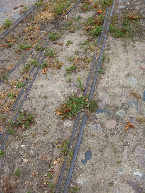 Polßen Bauernhof