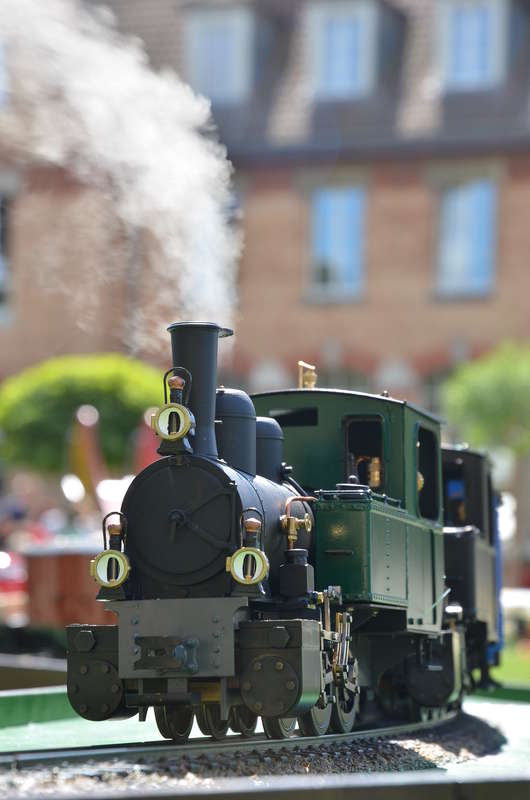 DSC_7080