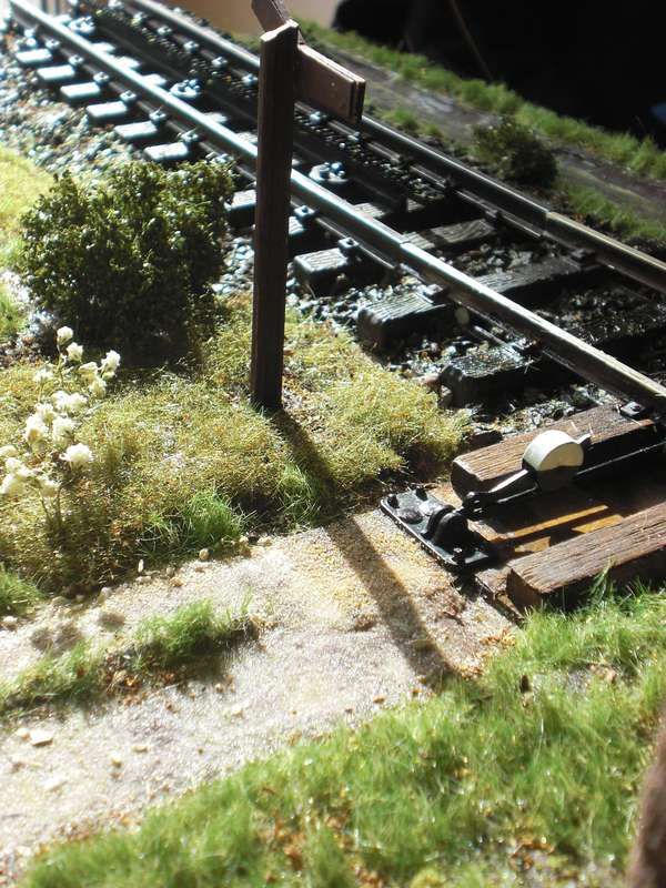 CIMG0660
