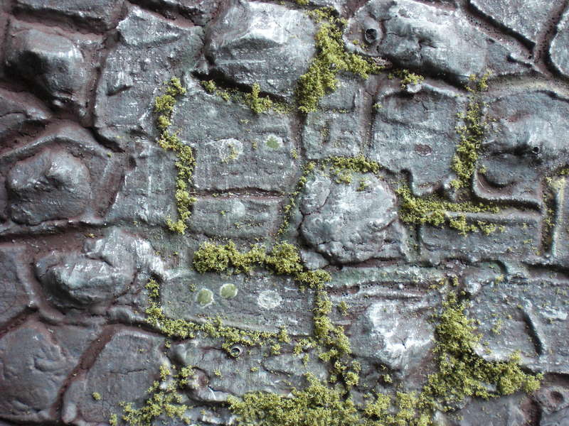 Flechten