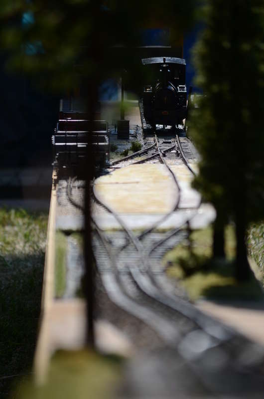 DSC_0853