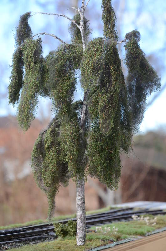 DSC_2589