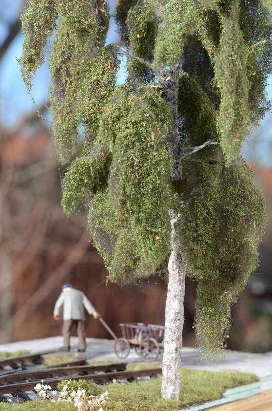 DSC_2600