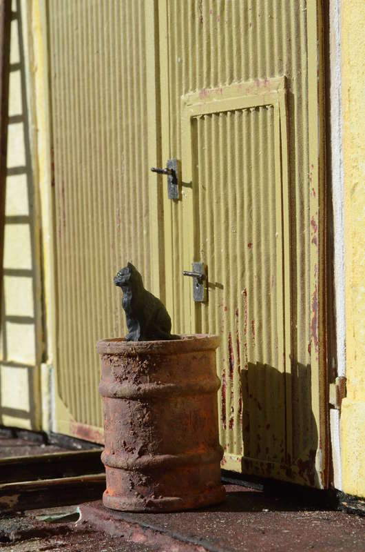 DSC_5708