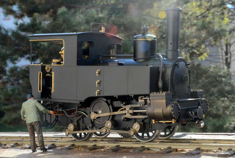 Hermann