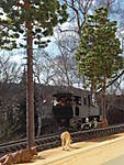 3971CIMG7126.JPG