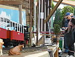 3971CIMG7642.JPG