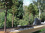 3971CIMG8834.JPG