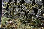 3971DSC_1986.jpg