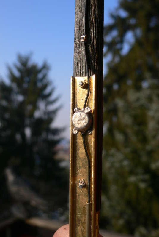 Fuß