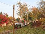 69310_31_Auenhain07.jpg