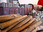 3383IMG_5215.JPG