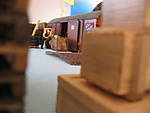 3383IMG_5242.JPG