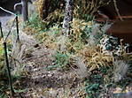 4346Altstadtdiorama_10_05_2013.jpg