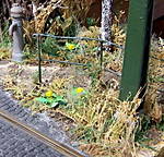 4346Altstadtdiorama_12_05_2013_b.jpg