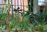 4346Altstadtdiorama_17_10_2013_e.jpg