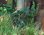 4346Altstadtdiorama_17_10_2013_f.jpg