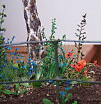 4346Altstadtdiorama_23_09_2013_b.jpg