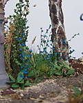 4346Altstadtdiorama_29_07_13_b.jpg