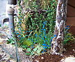 4346Altstadtdiorama_29_07_13_f.jpg